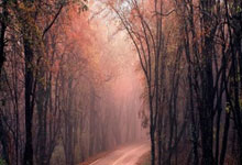 C7娱乐:约罗:我的伤处已经没有疼痛感,对于一切都非常满意.