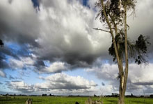 C7娱乐:乒乓球——亚洲杯:蒯曼晋级八.